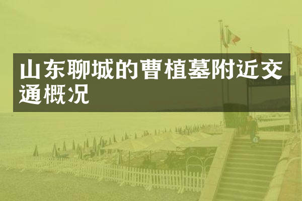 山东聊城的曹植墓附近交通概况