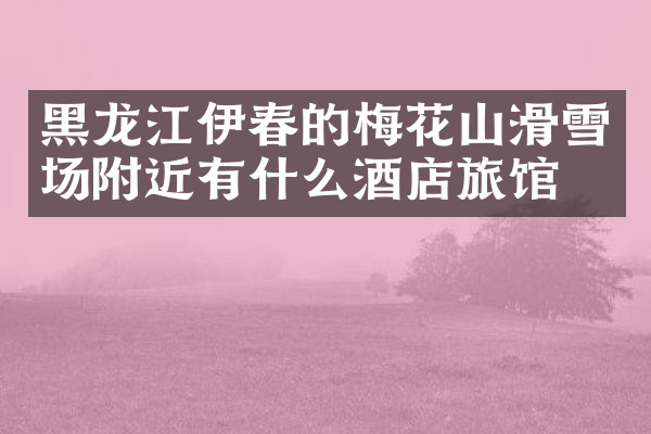 黑龙江伊春的梅花山滑雪场附近有什么酒店旅馆吗