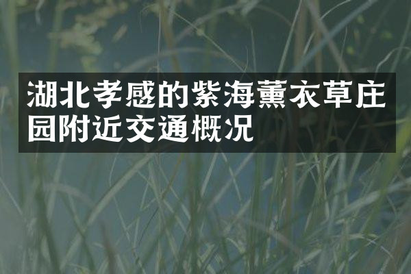 湖北孝感的紫海薰衣草庄园附近交通概况