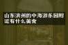 山东滨州的中海游乐园附近有什么美食