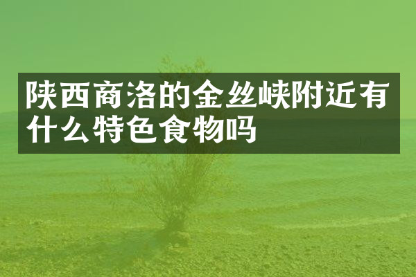 陕西商洛的金丝峡附近有什么特色食物吗