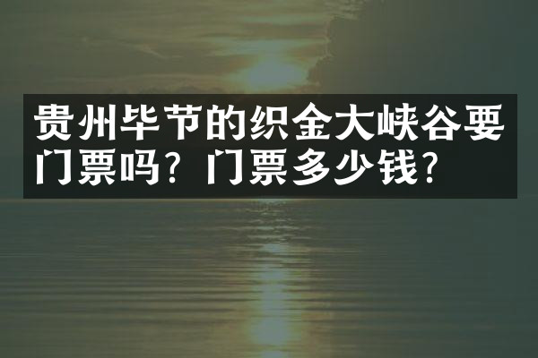 贵州毕节的织金大峡谷要门票吗？门票多少钱？
