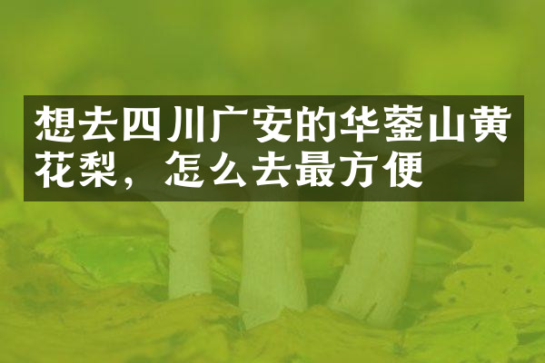 想去四川广安的华蓥山黄花梨，怎么去最方便