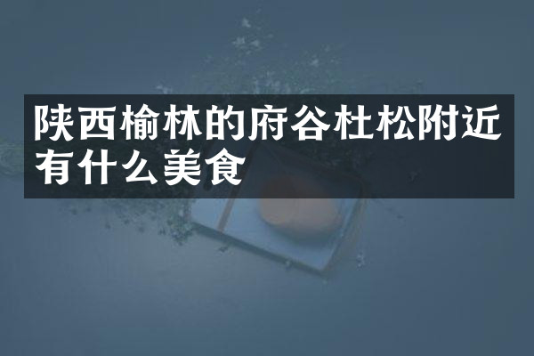 陕西榆林的府谷杜松附近有什么美食