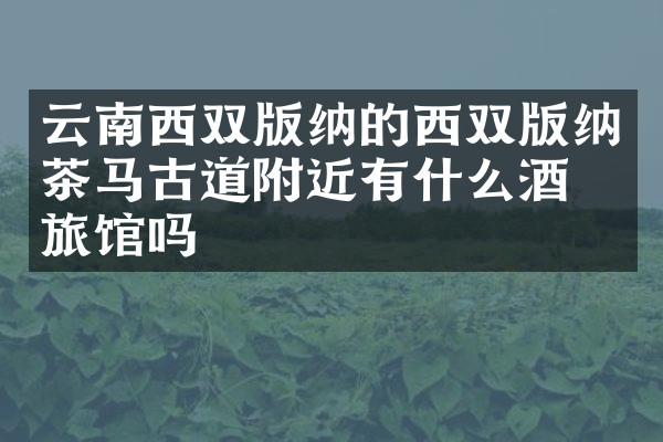 云南西双版纳的西双版纳茶马古道附近有什么酒店旅馆吗