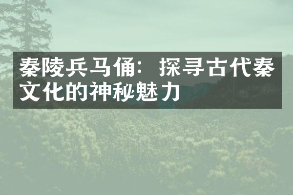 秦陵兵马俑：探寻古代秦文化的神秘魅力