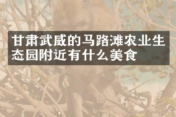 甘肃武威的马路滩农业生态园附近有什么美食