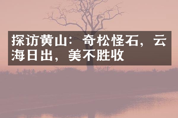 探访黄山：奇松怪石，云海日出，美不胜收