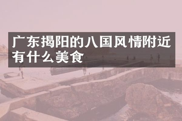 广东揭阳的八国风情附近有什么美食