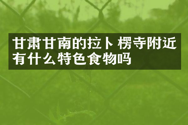 甘肃甘南的拉卜楞寺附近有什么特色食物吗