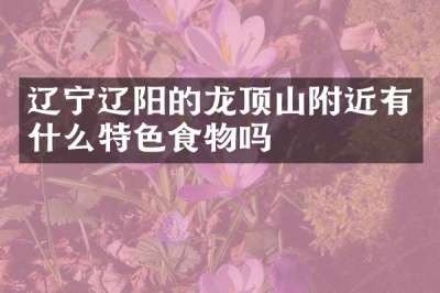 辽宁辽阳的龙顶山附近有什么特色食物吗