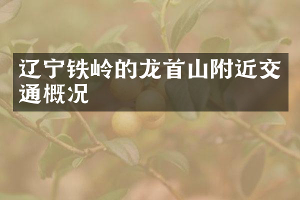 辽宁铁岭的龙首山附近交通概况
