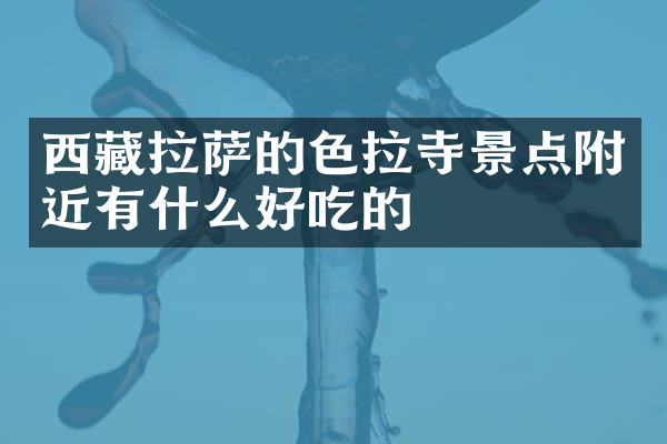 西藏拉萨的色拉寺景点附近有什么好吃的
