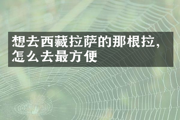 想去西藏拉萨的那根拉，怎么去最方便