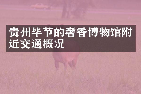 贵州毕节的奢香博物馆附近交通概况