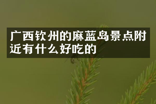 广西钦州的麻蓝岛景点附近有什么好吃的