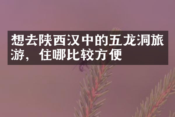想去陕西汉中的五龙洞旅游，住哪比较方便