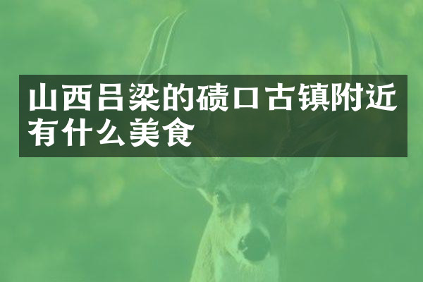 山西吕梁的碛口古镇附近有什么美食