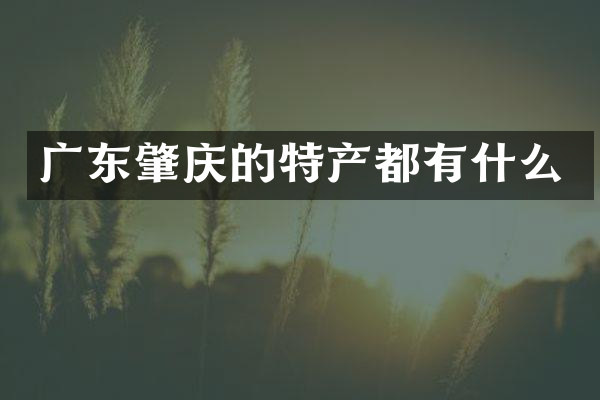 广东肇庆的特产都有什么
