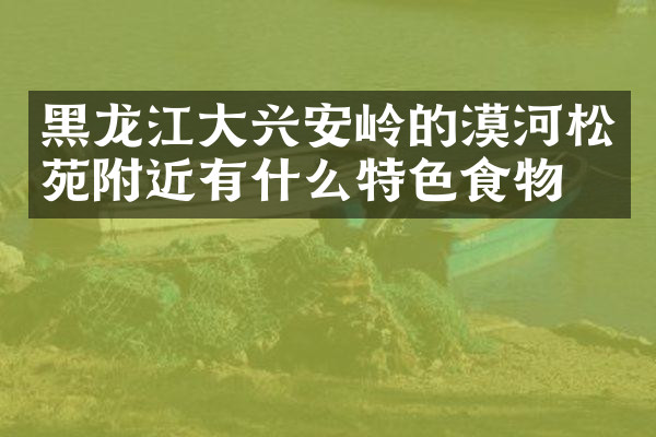 黑龙江大兴安岭的漠河松苑附近有什么特色食物吗