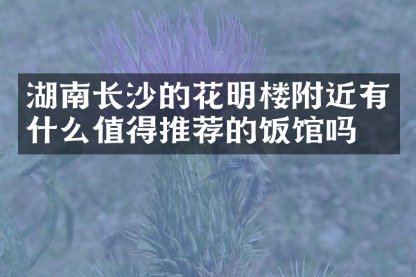 湖南长沙的花明楼附近有什么值得推荐的饭馆吗