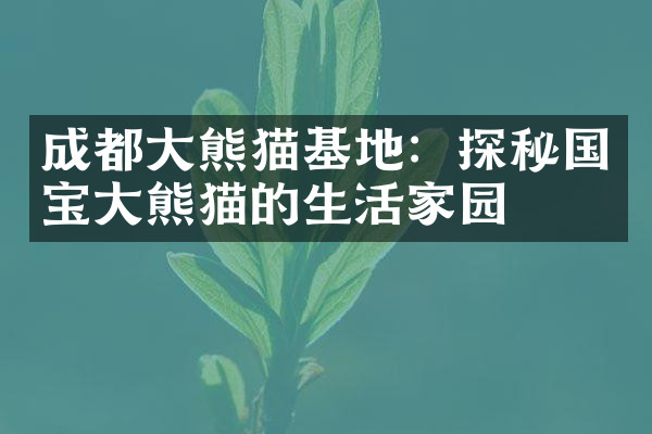 成都大熊猫基地：探秘国宝大熊猫的生活家园