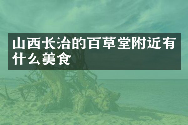 山西长治的百草堂附近有什么美食