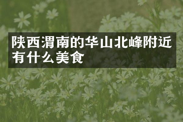 陕西渭南的华山北峰附近有什么美食