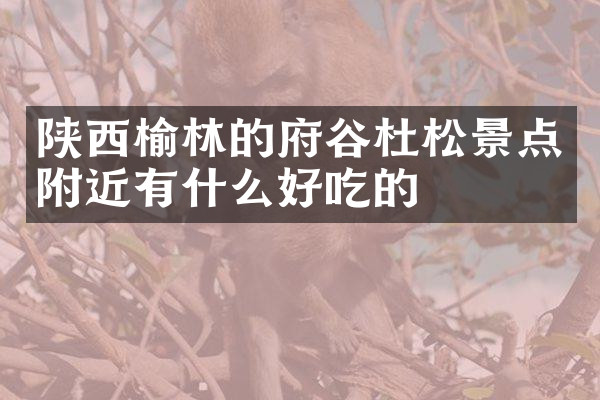 陕西榆林的府谷杜松景点附近有什么好吃的
