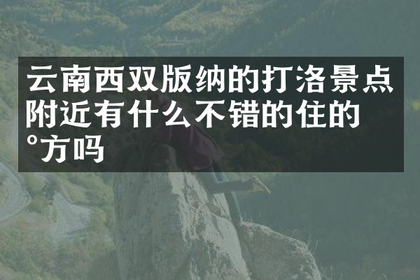 云南西双版纳的打洛景点附近有什么不错的住的地方吗