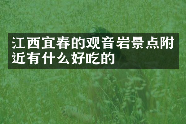 江西宜春的观音岩景点附近有什么好吃的