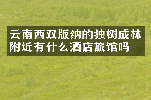 云南西双版纳的独树成林附近有什么酒店旅馆吗