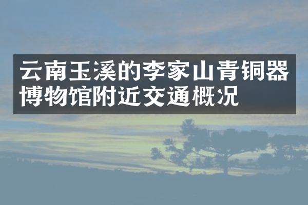 云南玉溪的李家山青铜器博物馆附近交通概况
