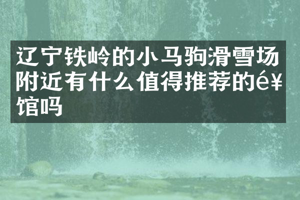 辽宁铁岭的小马驹滑雪场附近有什么值得推荐的饭馆吗