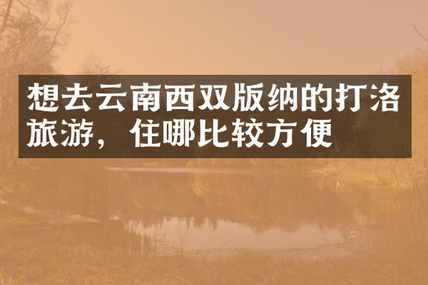想去云南西双版纳的打洛旅游，住哪比较方便