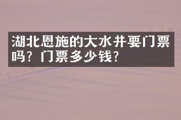 湖北恩施的大水井要门票吗？门票多少钱？