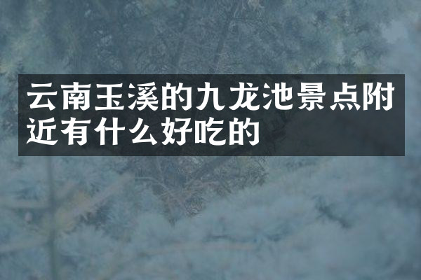 云南玉溪的九龙池景点附近有什么好吃的