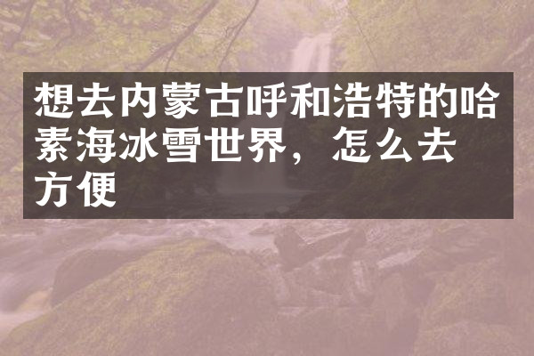 想去内蒙古呼和浩特的哈素海冰雪世界，怎么去最方便