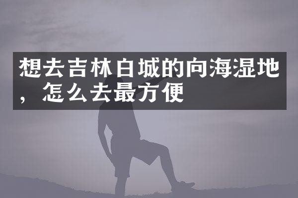 想去吉林白城的向海湿地，怎么去最方便