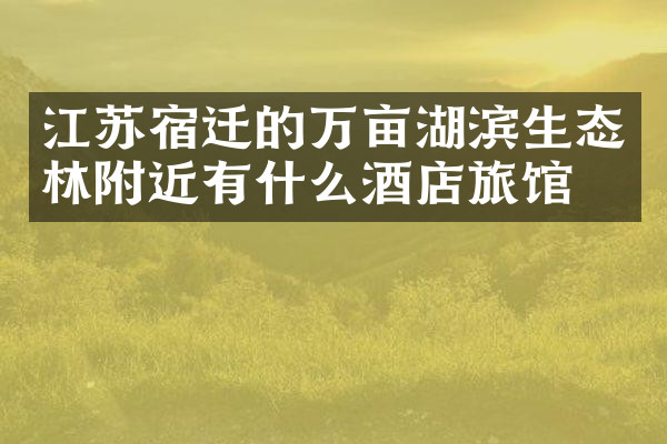 江苏宿迁的万亩湖滨生态林附近有什么酒店旅馆吗