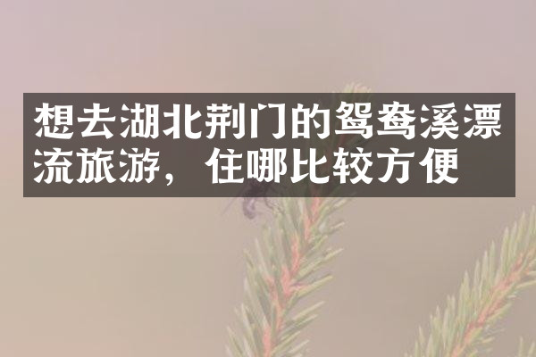 想去湖北荆门的鸳鸯溪漂流旅游，住哪比较方便