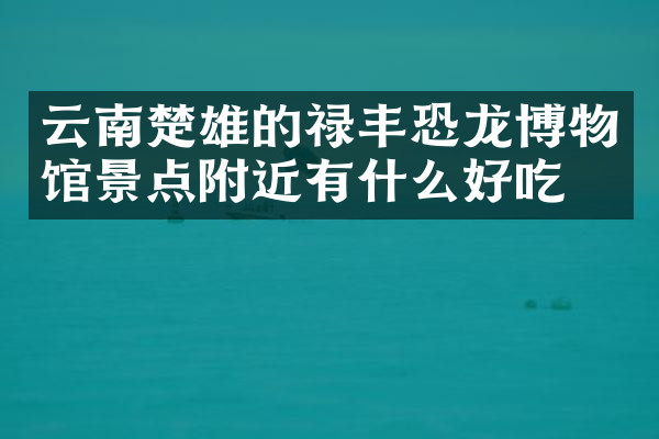 云南楚雄的禄丰恐龙博物馆景点附近有什么好吃的
