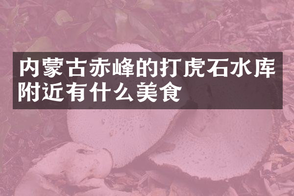 内蒙古赤峰的打虎石水库附近有什么美食