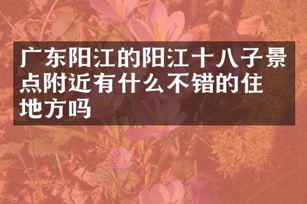 广东阳江的阳江十八子景点附近有什么不错的住的地方吗