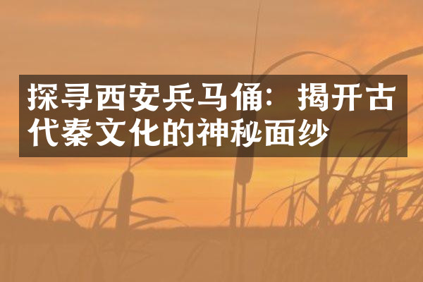 探寻西安兵马俑：揭开古代秦文化的神秘面纱