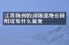 江苏扬州的润扬湿地公园附近有什么美食
