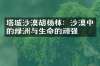 塔城沙漠胡杨林：沙漠中的绿洲与生命的顽强