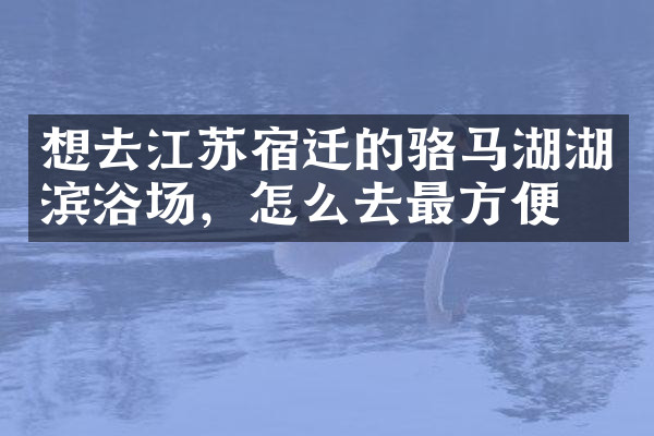 想去江苏宿迁的骆马湖湖滨浴场，怎么去最方便