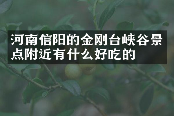 河南信阳的金刚台峡谷景点附近有什么好吃的
