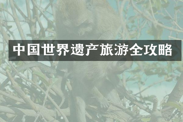 中国世界遗产旅游全攻略